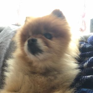 Meet your Posher, Christine